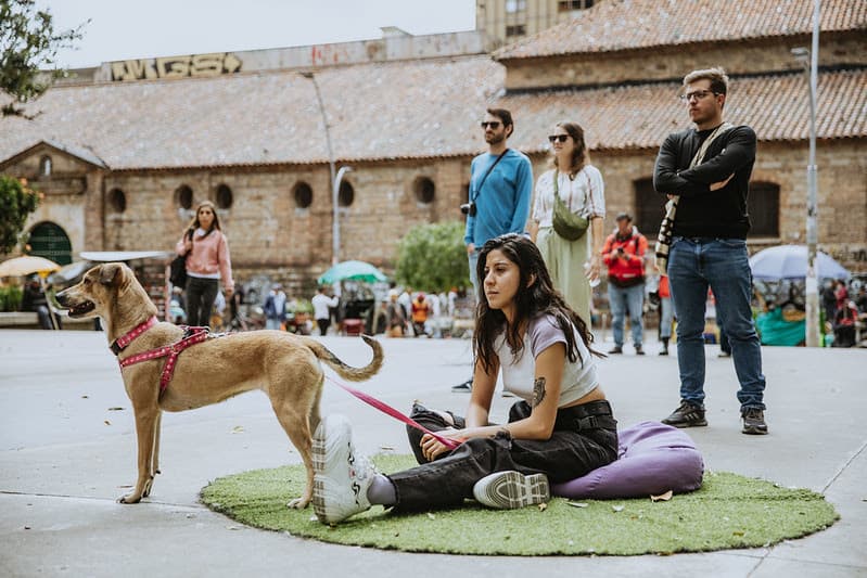Festival Calma: Taller "Yoga en el Parque"