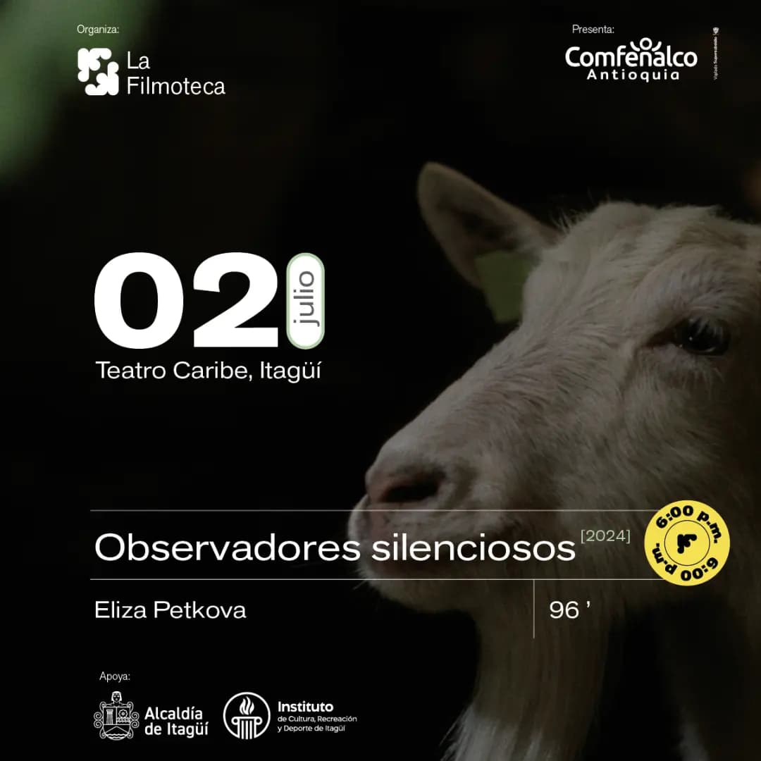 Observadores silenciosos