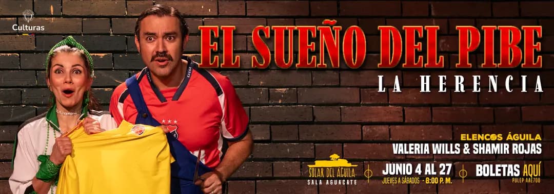 El sueño del pibe
