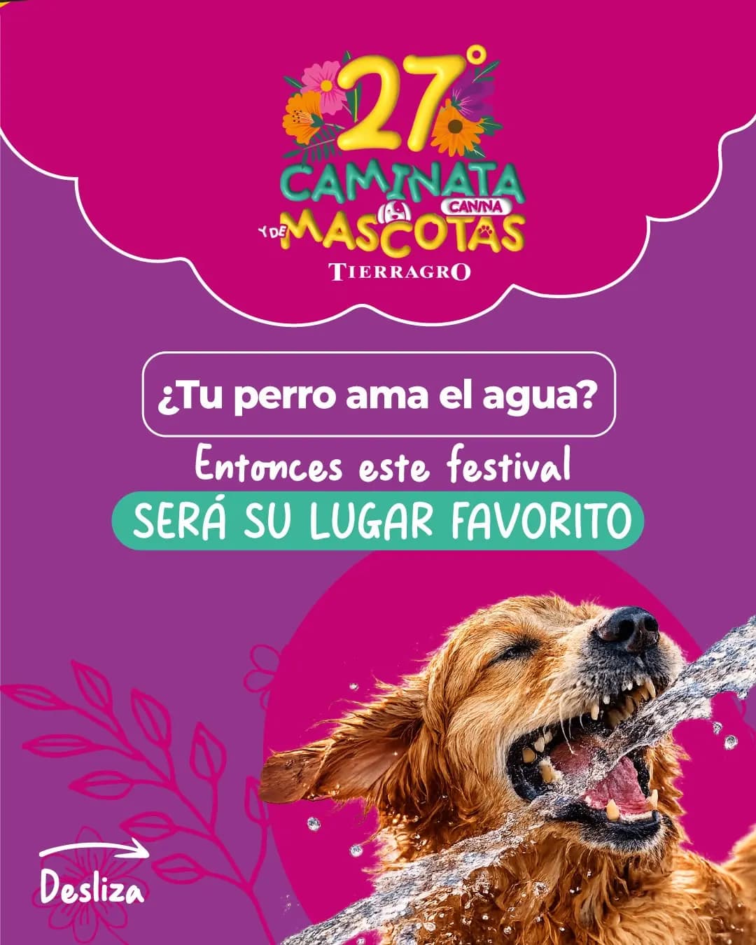 27.ª Caminata Canina y de Mascotas Tierragro 2026